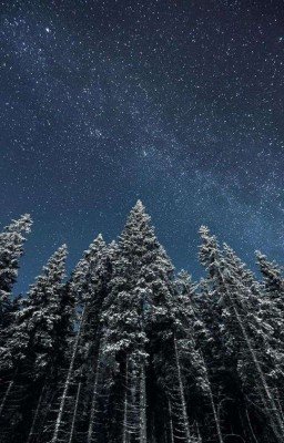 В. П. Астафьев "Ангел хранитель" 