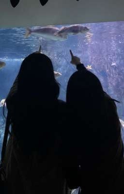 Тайные чувства