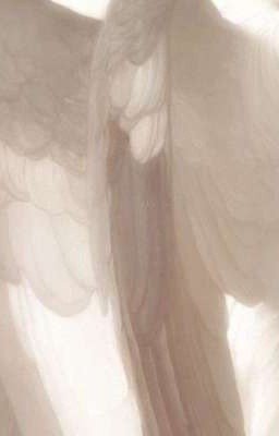 Демоны, и ангел под защитой солнца