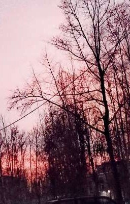 -А ведь всё началось с обычного цветка..