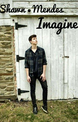imagine with Shawn Mendes