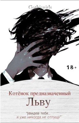 Котёнок Предназначенный Льву