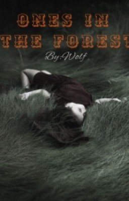 Однажды в лесу...