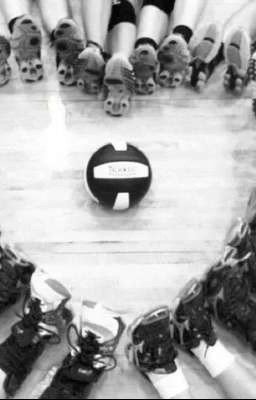 волейболисты