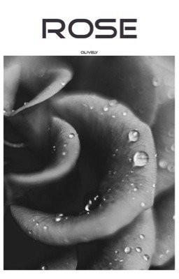 Rose |l.h.| #Wattys2016