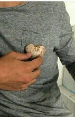 Запретный Плод Сладок