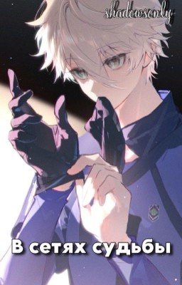 В сетях судьбы