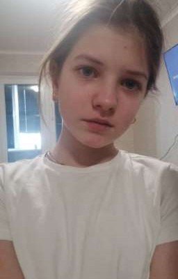 домик сложи