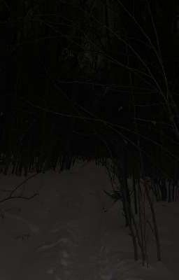 Опустевшая зима.[ИНМТ]