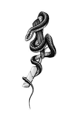 "Ястребы" младшие(продолжение)