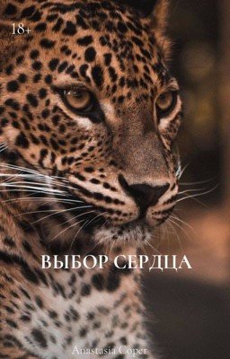 Выбор сердца 