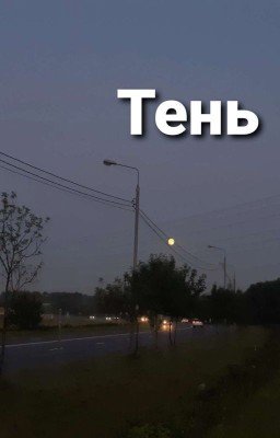 Тень