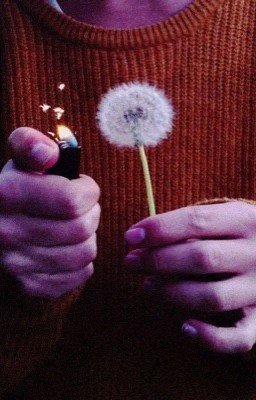 следущая станция. 16+.