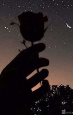 ∞ПУТАНИЦА∞