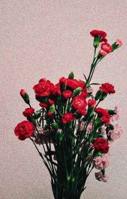 Ты мой недуг и избавленье от него