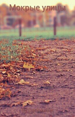 Мокрые улицы...