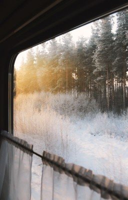 Я ехала домой...