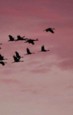 Твой мир - иллюзия