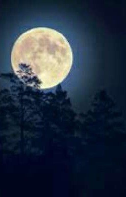Белая Луна...