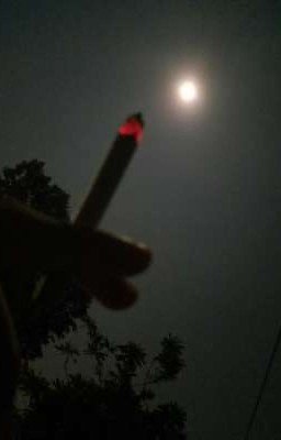 Любовь в одиночестве 