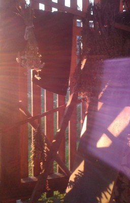 Не ощущая преград.