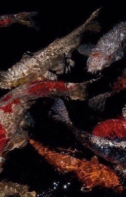 Одиночество. Безумие. Смерть. 