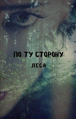 По ту сторону леса