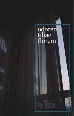 Запах цветущей липы 