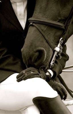 Последний забег 