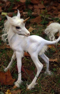 Мы. Навсегда 