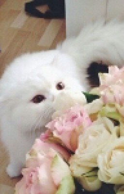 .•°Бунтарка°•.