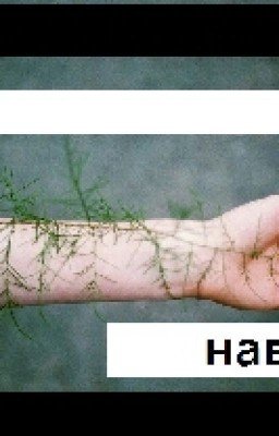 шаг наверх