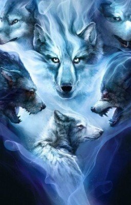 Стая:Носитель жизни