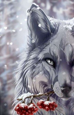 Революция в сердце пары волков