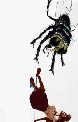 Шизофазия мух