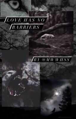 love has no barriers ( заморожен )