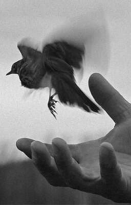 {Верните мне свободу}•18+•