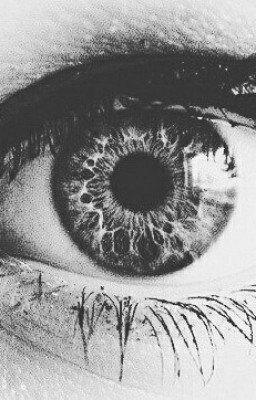 50ДДМС . Часть 3 