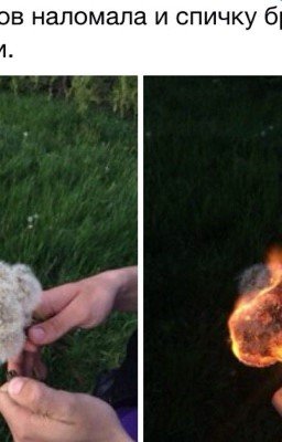 Ты сама дров наломала. И спичку бросила. Теперь гори 