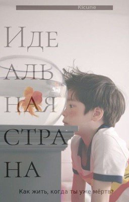 Идеальная страна