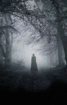 Тур на лето❤