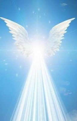 Любовь и ненависть