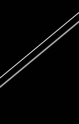 Полуночник