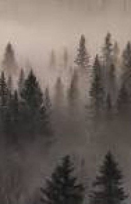 моменты из саморола/патрик+тимур и их стая/северинстоун.