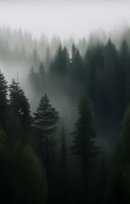 Древо греха или Состояние сна