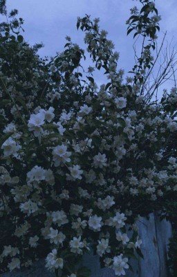 режу по вертикали 