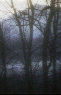 в тёмной глуши.