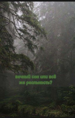 Вечный сон или все же Реальность? 