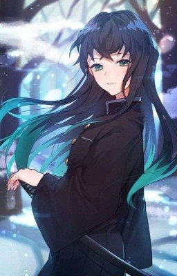 звезды над нами 