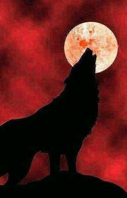 Моя сестра оборотень, Сестра Ким Намджуна. Том I